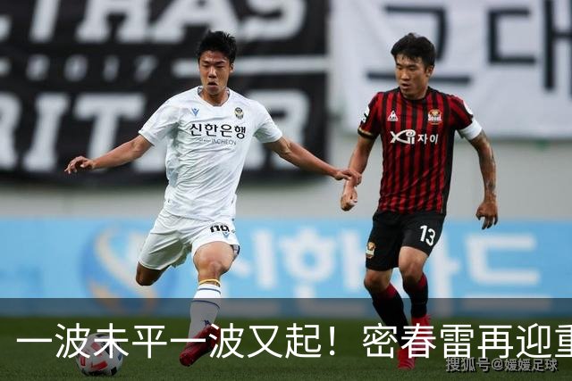 一波未平一波又起！密春雷再迎重大变动，52岁董卿也未料到这一步