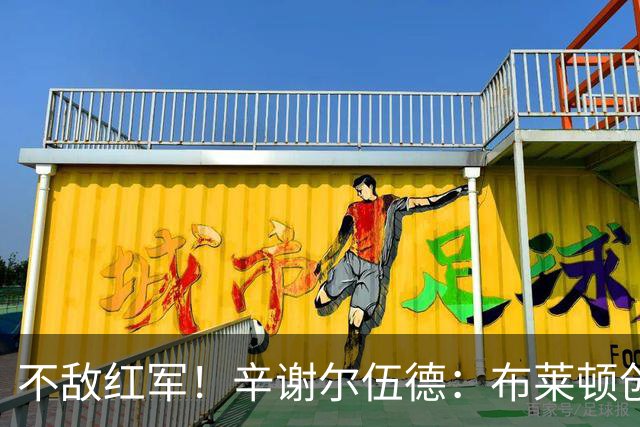 不敌红军！辛谢尔伍德：布莱顿创造不少机会，就是缺门前终结能力