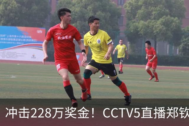 冲击228万奖金！CCTV5直播郑钦文VS斯维托丽娜，为何被安排在日场