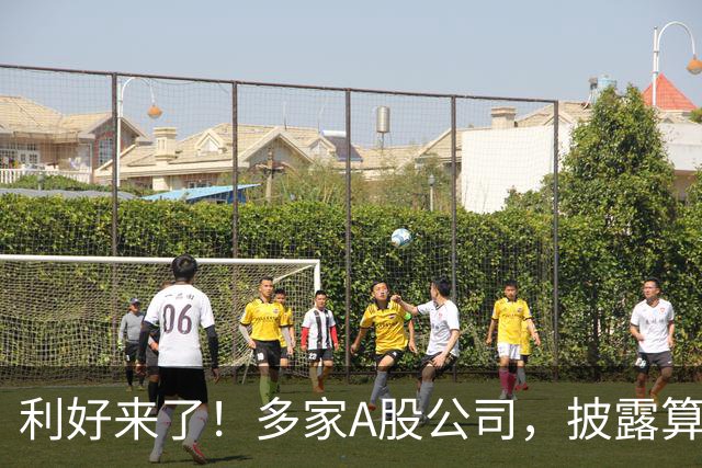利好来了！多家A股公司，披露算力大单