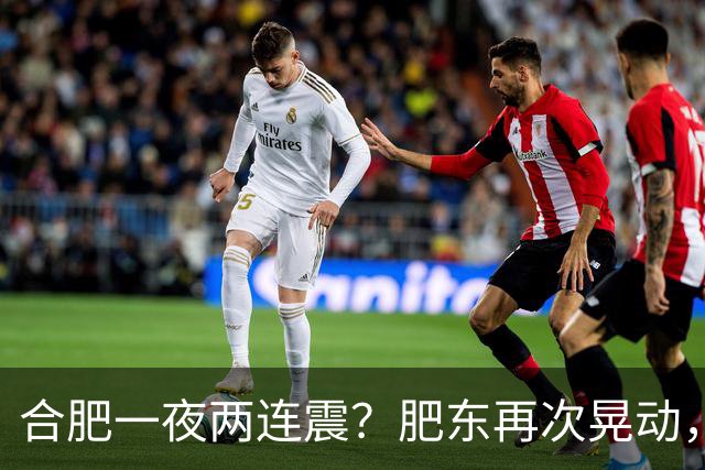 合肥一夜两连震？肥东再次晃动，去年4.7级就在同一位置！