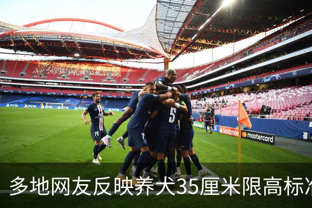 多地网友反映养犬35厘米限高标准过低，各方回应