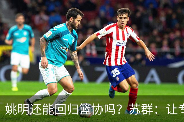 姚明还能回归篮协吗？苏群：让专业人士当主席的政策现在已经没了