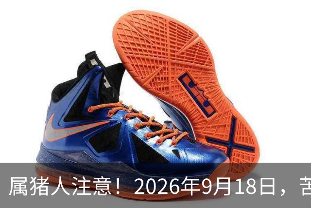 属猪人注意！2026年9月18日，苦熬多年的你终于要翻身了