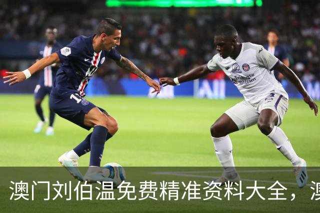 澳门刘伯温免费精准资料大全，澳门今日凤凰四肖，刘伯温四肖八码，第284期新六合彩晚上9点13内部群