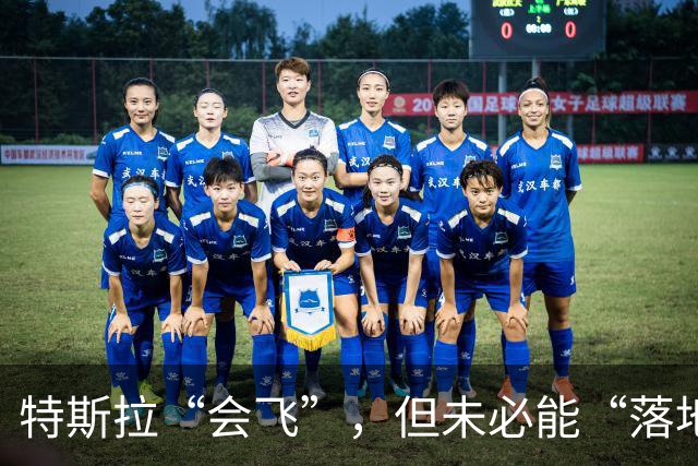 特斯拉“会飞”，但未必能“落地” | 新京报快评