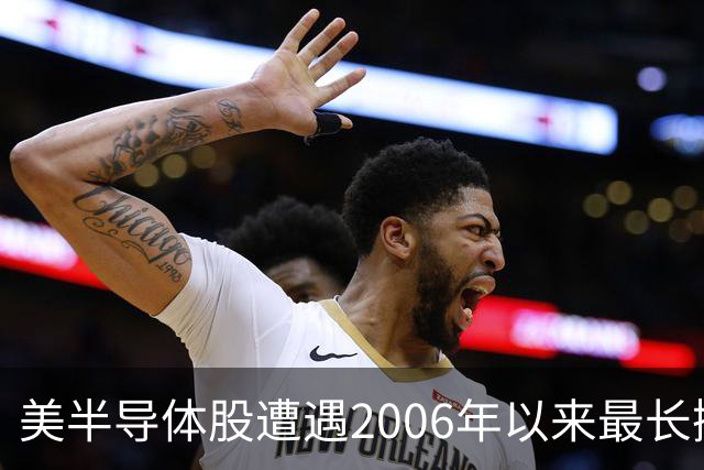 美半导体股遭遇2006年以来最长抛售潮，做空者却获利320亿美元
