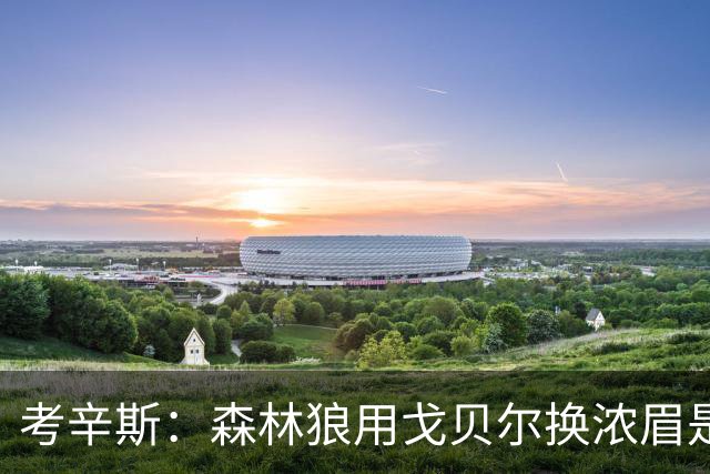 考辛斯：森林狼用戈贝尔换浓眉是双赢 奇才也能借此扶正迪班萨
