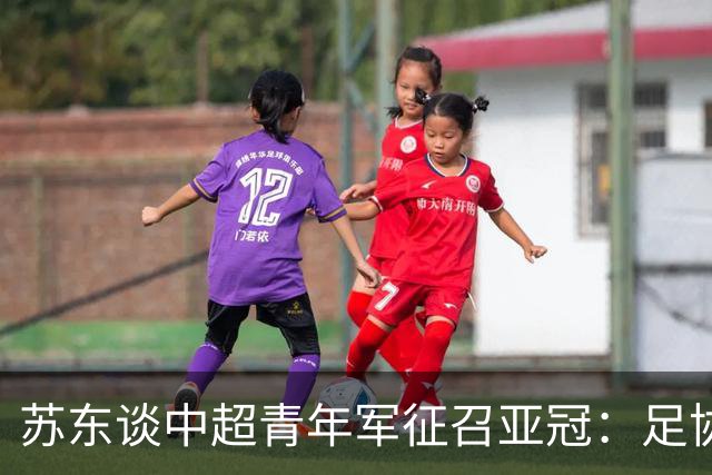 苏东谈中超青年军征召亚冠：足协在亚足联没朋友了