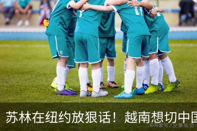 苏林在纽约放狠话！越南想切中国供应链，可现实根本切不动