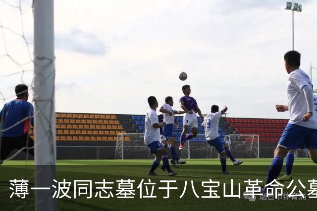 薄一波同志墓位于八宝山革命公墓，墓前常年鲜花簇拥萦绕