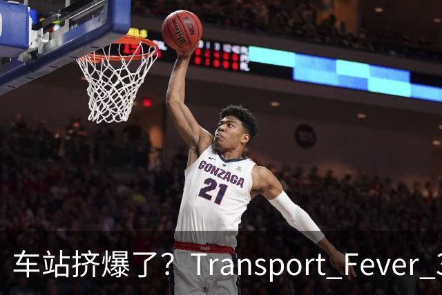 车站挤爆了？Transport Fever 3乘客会自己换站台