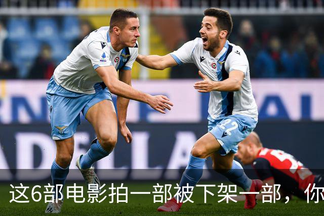 这6部电影拍一部被下架一部，你有幸看过哪几部？